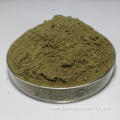 Organic Buckwheat Grass Extract Juice Powder